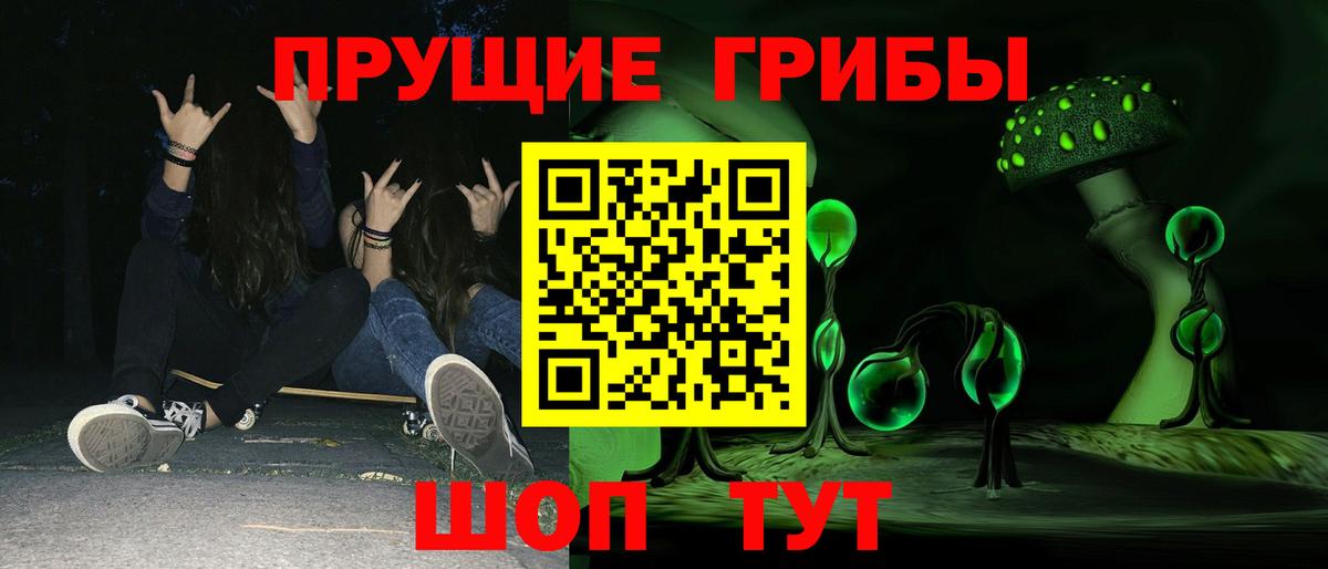 Псилоцибиновые грибы Psilocybine cubensis Вязьма